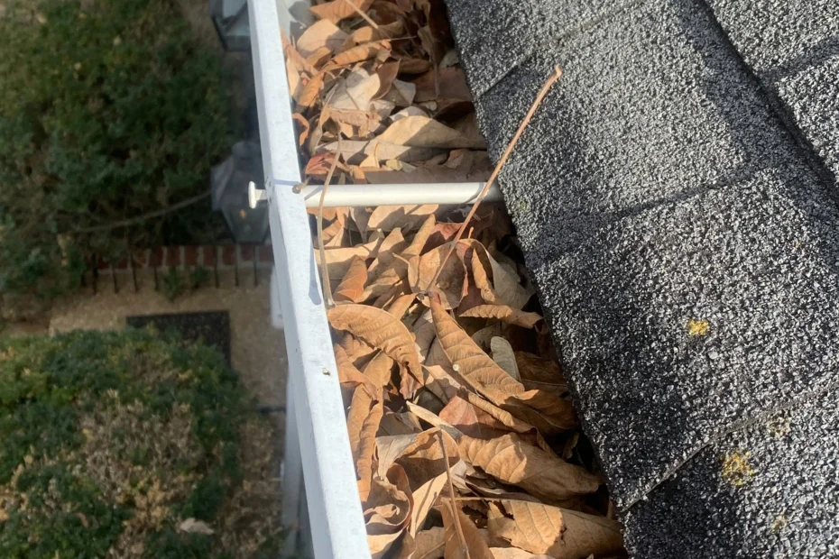 Gutter Cleaning Dunbar