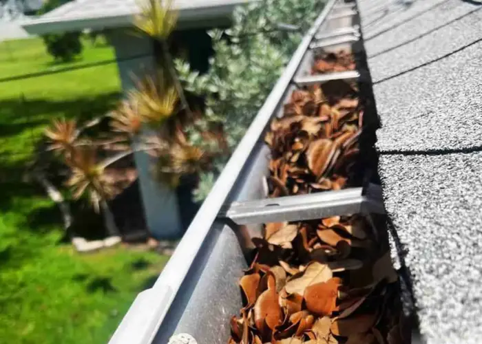 Gutter Cleaning Dunbar home page